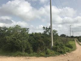  Grundstück zu verkaufen in Conkal, Yucatan, Conkal