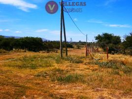  Terreno (Parcela) en venta en Chacabuco, San Luis, Chacabuco