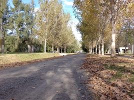 Terreno (Parcela) en venta en Brandsen, Buenos Aires, Brandsen