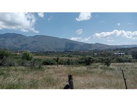  Land for sale in Bus Station, Villa De Leyva, Villa De Leyva