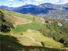 4 Habitación Casa en venta en Abejorral, Antioquia, Abejorral