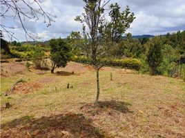  Grundstück zu verkaufen in Guarne, Antioquia, Guarne, Antioquia, Kolumbien