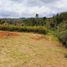  Grundstück zu verkaufen in Guarne, Antioquia, Guarne, Antioquia, Kolumbien