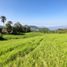 Studio Villa zu verkaufen in Tena, Cundinamarca, Tena