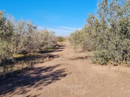  Terreno (Parcela) en venta en Maipu, Mendoza, Maipu