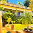 3 Schlafzimmer Haus zu verkaufen in Amacuzac, Morelos, Amacuzac