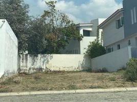  Land for sale in Zapopan, Jalisco, Zapopan, Jalisco
