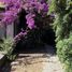 3 Bedroom House for sale in Cordillera, Santiago, San Jode De Maipo, Cordillera