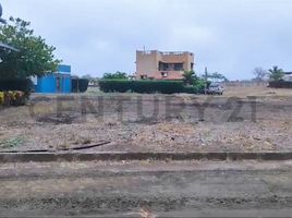  Land for sale in Montecristi, Montecristi, Montecristi