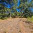  Terreno (Parcela) en venta en Mazamitla, Jalisco, Mazamitla