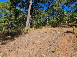  Terreno (Parcela) en venta en Mazamitla, Jalisco, Mazamitla