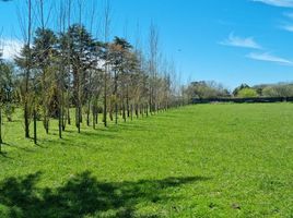  Terreno (Parcela) en venta en Brandsen, Buenos Aires, Brandsen