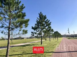  Land for sale in San Vicente, Buenos Aires, San Vicente