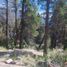  Land for sale in Rio Negro, Bariloche, Rio Negro