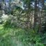  Land for sale in Rio Negro, Bariloche, Rio Negro