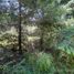  Land for sale in Rio Negro, Bariloche, Rio Negro