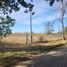  Land for sale in Santa Maria, Cordoba, Santa Maria