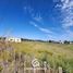  Land for sale in Neuquen, Confluencia, Neuquen