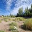  Land for sale in Neuquen, Confluencia, Neuquen