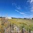  Land for sale in Neuquen, Confluencia, Neuquen