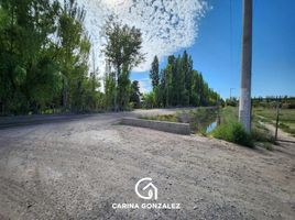  Land for sale in Neuquen, Confluencia, Neuquen