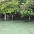  Grundstück zu verkaufen in Othon P Blanco, Quintana Roo, Othon P Blanco