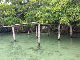  Grundstück zu verkaufen in Othon P Blanco, Quintana Roo, Othon P Blanco