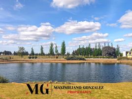  Land for sale in San Vicente, Buenos Aires, San Vicente