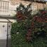 Villa 5 chambre à vendre à Tigre, Buenos Aires, Tigre