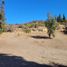  Land for sale in Chile, Santiago, Santiago, Santiago, Chile