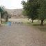  Land for rent in Calle Larga, Valparaiso, Calle Larga, Los Andes