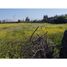  Land for sale in Colina, Chacabuco, Colina