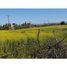  Land for sale in Colina, Chacabuco, Colina