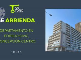 바이오비오PropertyTypeNameBedroom, Concepcion, Concepci��n, 바이오비오
