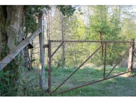  Land for sale in Cautin, Araucania, Pucon, Cautin