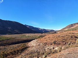  Terreno (Parcela) en venta en Coquimbo, Ovalle, Limarí, Coquimbo