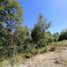  Land for sale in Cautin, Araucania, Pucon, Cautin