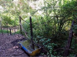  Land for sale in Cautin, Araucania, Pucon, Cautin