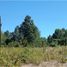 Land for sale in Cautin, Araucania, Pucon, Cautin