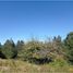  Land for sale in Cautin, Araucania, Pucon, Cautin