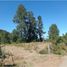  Land for sale in Cautin, Araucania, Pucon, Cautin