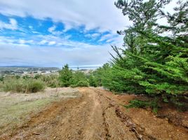  Land for sale in Chile, Pichilemu, Cardenal Caro, Libertador General Bernardo Ohiggins, Chile