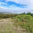  Land for sale in Chile, Pichilemu, Cardenal Caro, Libertador General Bernardo Ohiggins, Chile