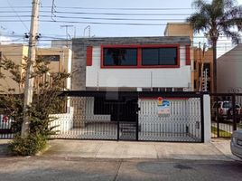 3 chambre Appartement for rent in Jalisco, Guadalajara, Jalisco