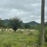  Land for sale in Santa Maria, Cordoba, Santa Maria