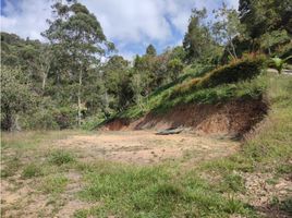  Terreno (Parcela) en venta en Marinilla, Antioquia, Marinilla