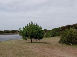 Terrain à vendre à La Costa, Buenos Aires, La Costa