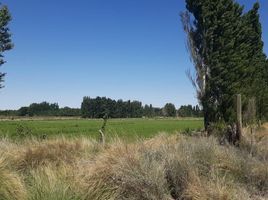  Terreno (Parcela) en venta en Neuquen, Confluencia, Neuquen