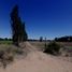  Land for sale in Confluencia, Neuquen, Confluencia