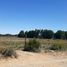  Land for sale in Neuquen, Confluencia, Neuquen